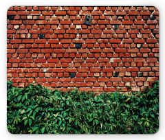 Wall with Green Leaves Mouse Pad