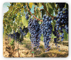 Rows of Wine Fruits in Italy Mouse Pad