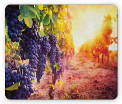 Grape in Countryside Vineyard Mouse Pad