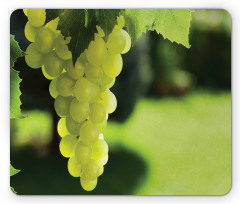 Bunch of Fruits Hanging Photo Mouse Pad