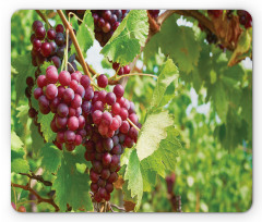 Bunch of Wine Fruits Foliage Mouse Pad