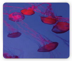 Tropical Underwater Bloom Mouse Pad