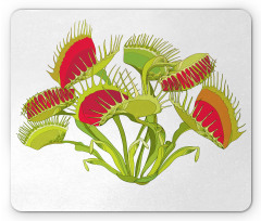 Bouquet of Venus Flytrap Mouse Pad