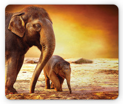 Mother Baby Elephant Family Mouse Pad
