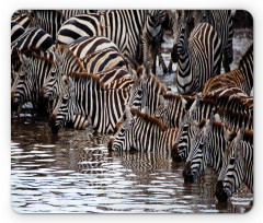 Zebra Wildebeest Herd Mouse Pad