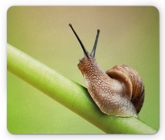 Garden Animal on Stem Plant Mouse Pad