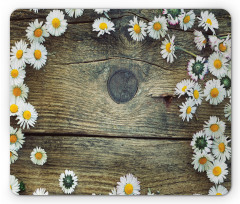 Fresh Spring Daisies Mouse Pad