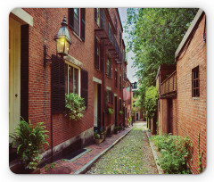 Historic Acorn Street Mouse Pad