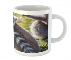 Ring Tailed Funny Expression Mug