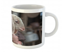 Baby Lamb Old Man Mug