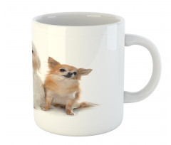 Chihuahua and Maltese Dogs Mug