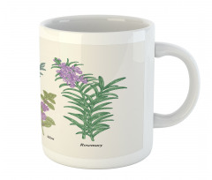 Botanical Infographic Plants Mug