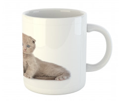 Cuddling Animals Mug