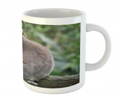 Photo of Madagascar Mammal Mug