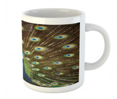 Peacock with Feathers Mug