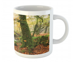 Misty Woods Cornwall Mug