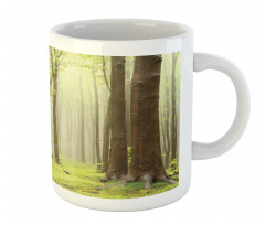 Misty Beech Forest Photo Mug