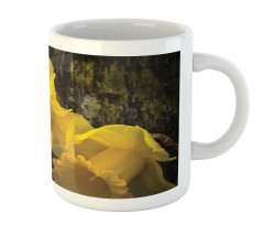 Image of Trumpet Daffodil Mug