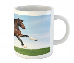 Horse Pacing on Grass Mug