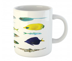 Marine Life Creatures Mug