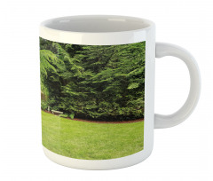 Pine Trees Backyard Mug
