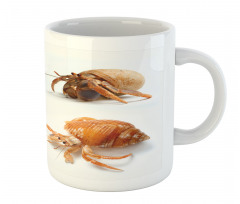 Hermit Crabs Pattern Mug
