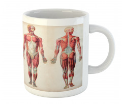 Anatomy Human Body Mug