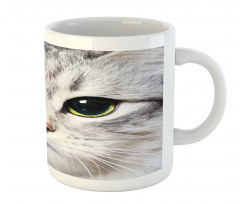 Face of a Domestic Kitty Mug