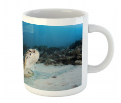 Turtle Coral Reef Mug