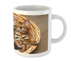 Bengal Cats in Basket Mug