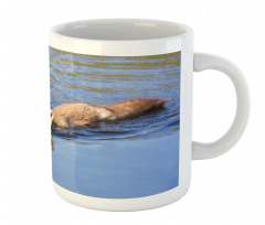 Fox Swimming in River Mug