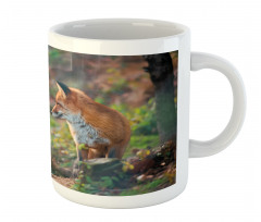 Young Wild Fox in Woodland Mug