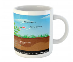 Plant Diagram Style Mug