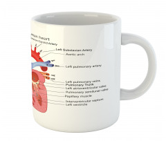 Human Body Organ Mug