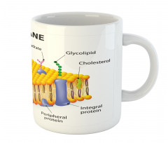 Membrane Cell Types Mug