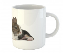 Rabbit Puppy Pet Friends Mug