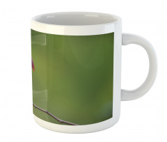 Keel Billed Toucan Mug