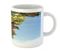 Succulent Apricots on Tree Mug