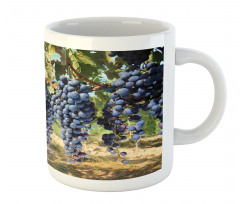 Rows of Wine Fruits in Italy Mug