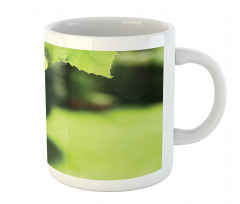 Bunch of Fruits Hanging Photo Mug