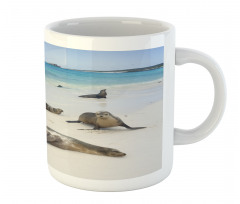 Galapagos Island Sea Lions Mug