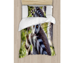 Ring Tailed Funny Expression Duvet Cover Set