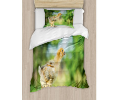 Little Baby Chicken on Log Duvet Cover Set