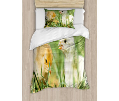 Close up Photo Baby Chickens Duvet Cover Set