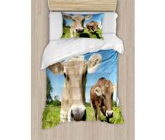 Close up Cows Duvet Cover Set