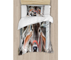 Cow Eating Grass Duvet Cover Set