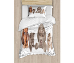 Pets Peeking over Wall Duvet Cover Set