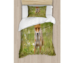 Young Curious Coyote Animal Duvet Cover Set