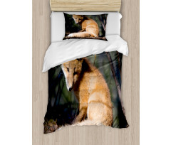 Young Coyote in Forest Sunrays Duvet Cover Set