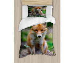 Young Coyote Photo Duvet Cover Set